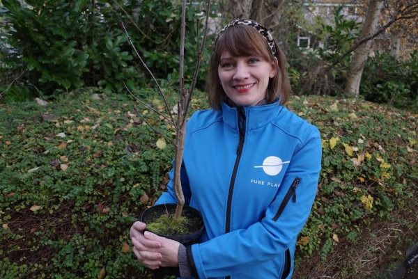 Bath-based Pure Planet to plant trees for staff this Christmas